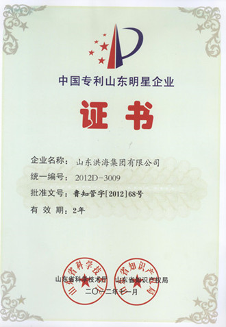 中國(guó)專(zhuān)利山東明星企業(yè)稱(chēng)號(hào)