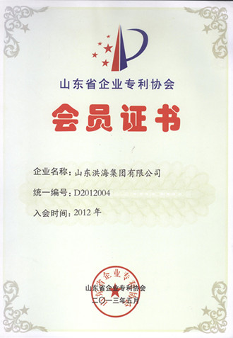 山東省企業(yè)專(zhuān)利協(xié)會(huì)會(huì)員